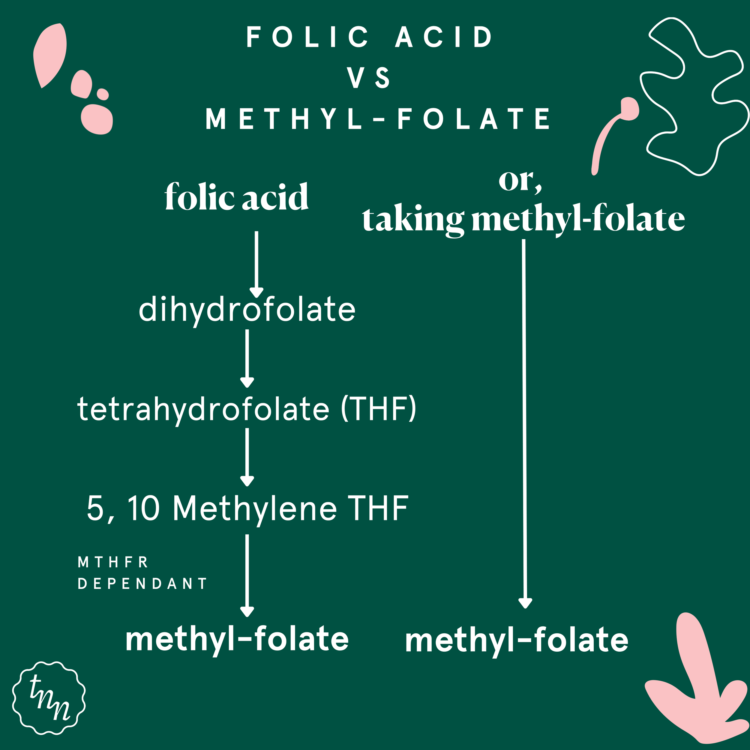 Folic Acid vs Methyl-Folate