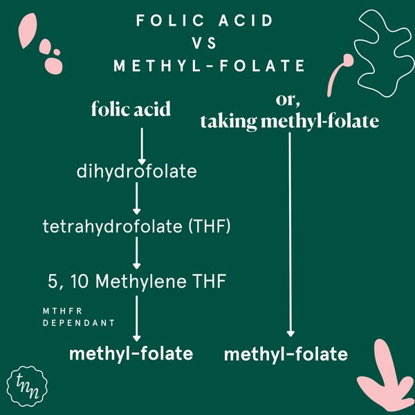 Folic Acid vs Methyl-Folate