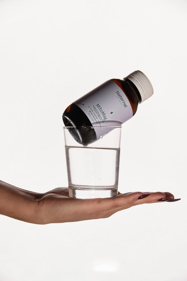 How to Stay Healthy During the Holiday Season: 6 Tips for Balancing Christmas Festivities and Wellness