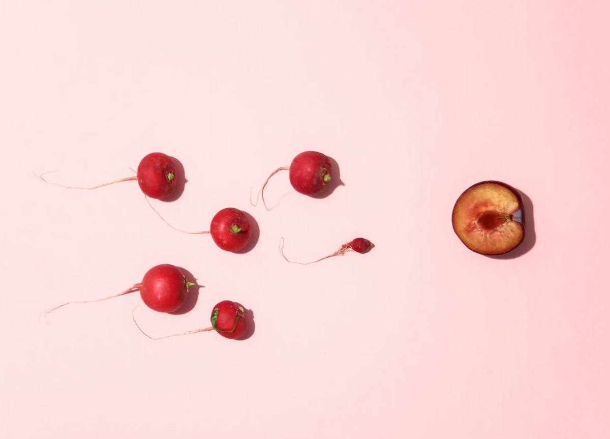 How Can Men Prepare For Conception