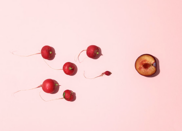 How Can Men Prepare For Conception