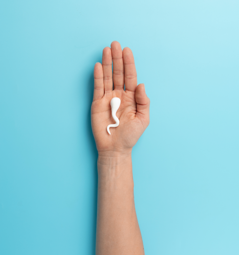 How to Boost Male Fertility: A Holistic Approach