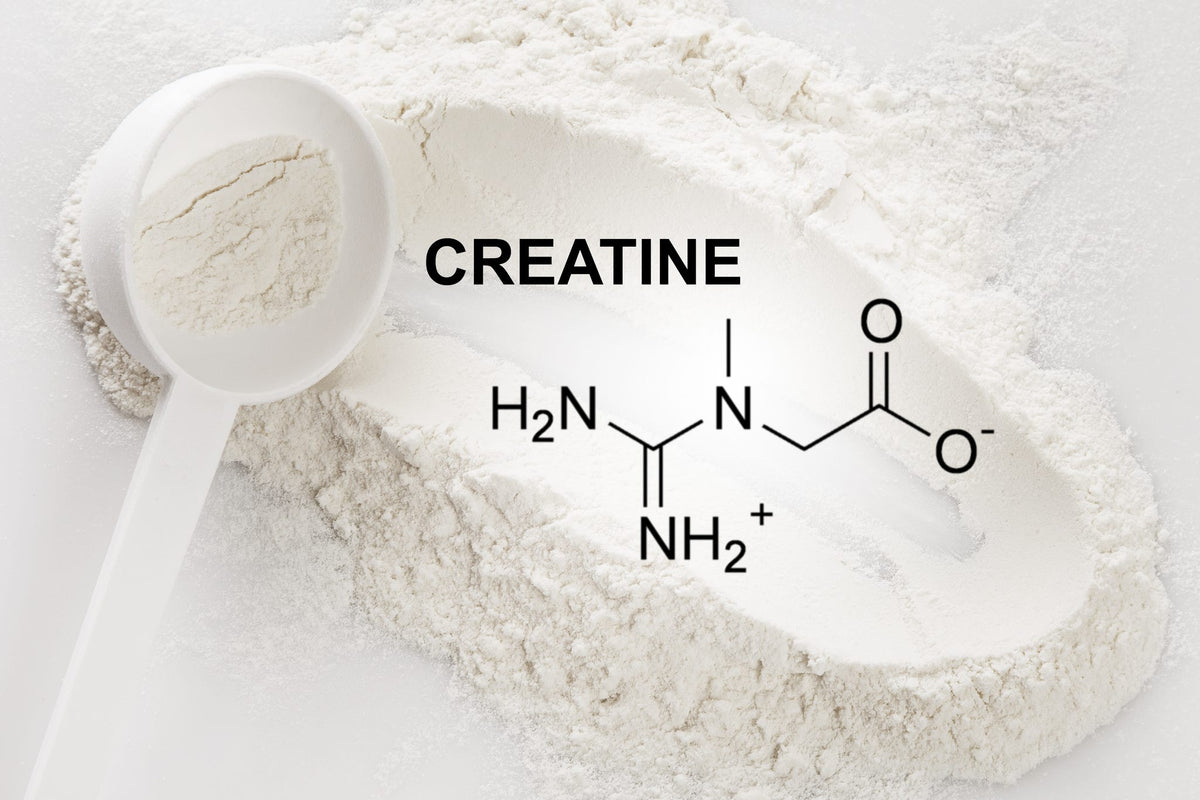 Creatine During Preconception: How Creatine Supports Strength and Energy Prior to Conception