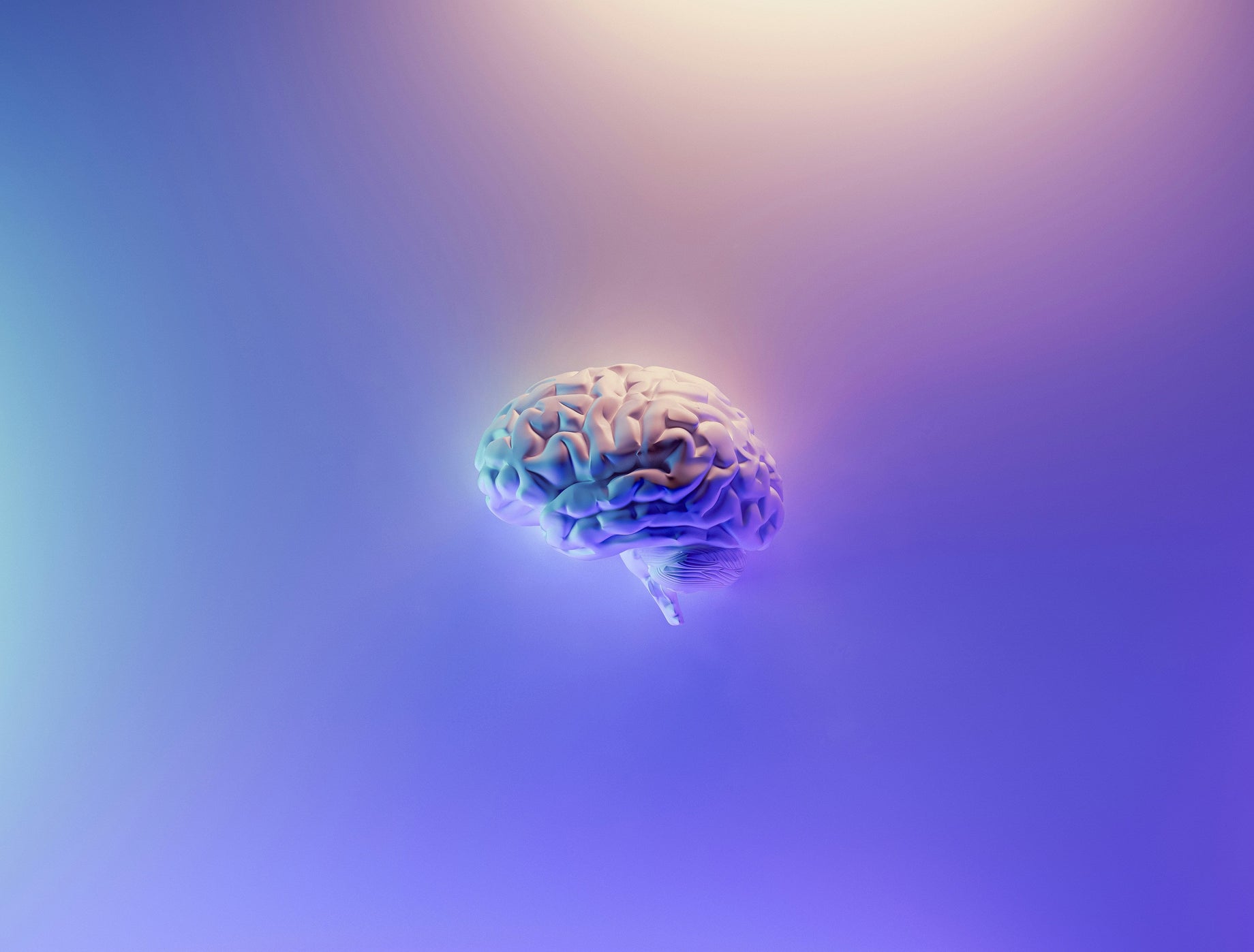 Brain Development in the First 1000 Days