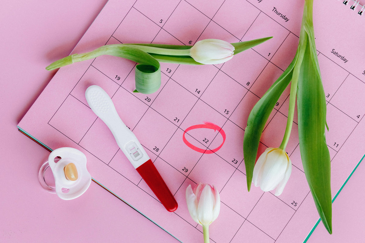 Can Your Menstrual Cycle Predict Your Future Fertility?