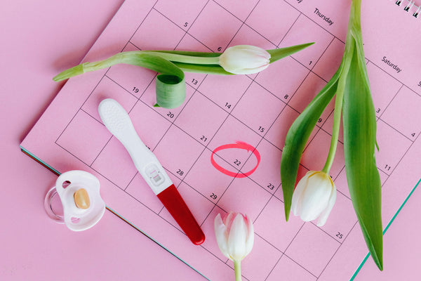 Can Your Menstrual Cycle Predict Your Future Fertility?