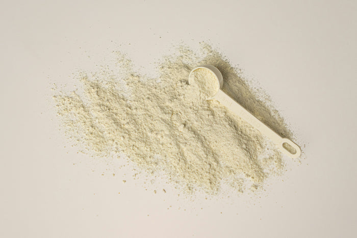 B. longum Probiotic